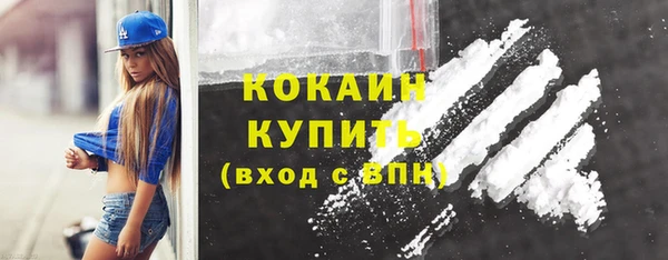дживик Переславль-Залесский