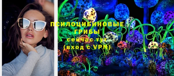 дживик Переславль-Залесский