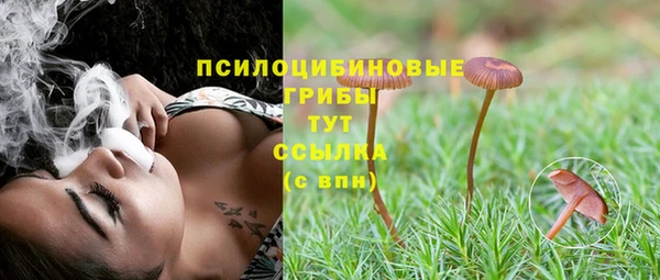 СК Покачи