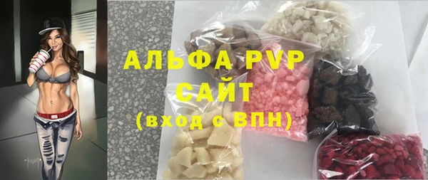 дживик Переславль-Залесский