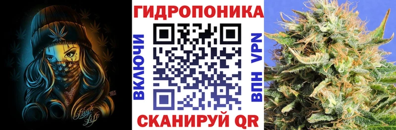 Бошки марихуана гибрид  Белозерск 
